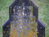 image of grave number 971633